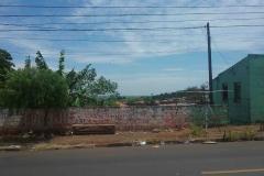 Lote 19