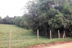 Lote 17