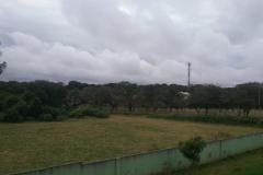 Lote 24