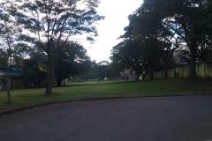 Lote 18