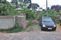 Lote 21