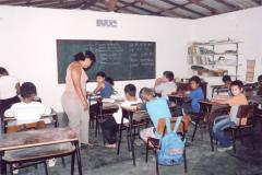 Socorro Araújo - educação