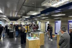 Exposição Arquivo Público e TRE-PR