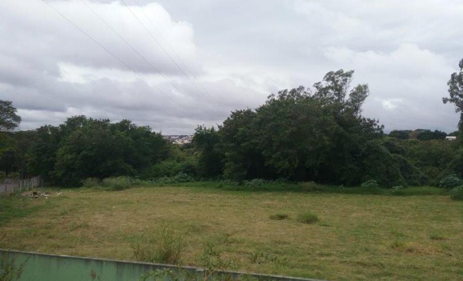 Lote 24