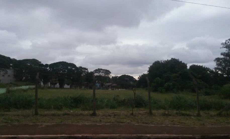 Lote 24