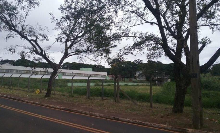Lote 24