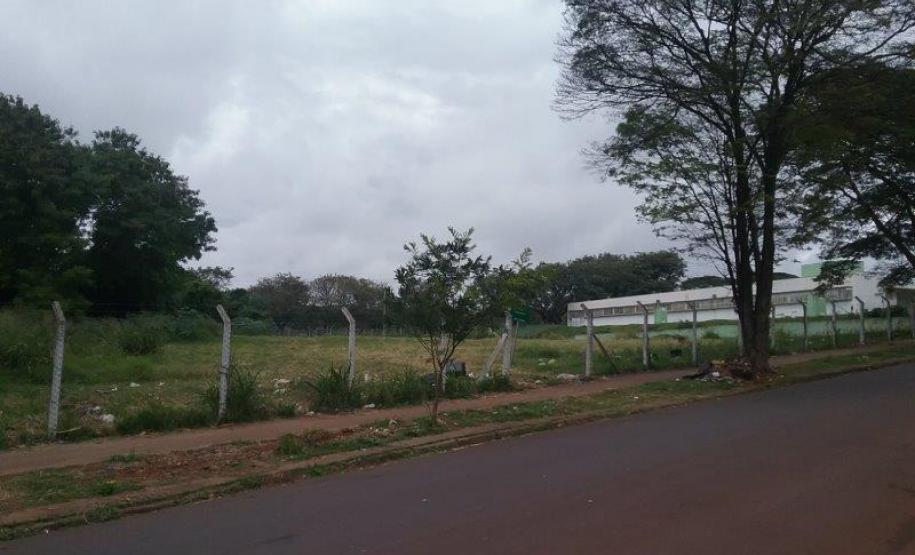 Lote 24
