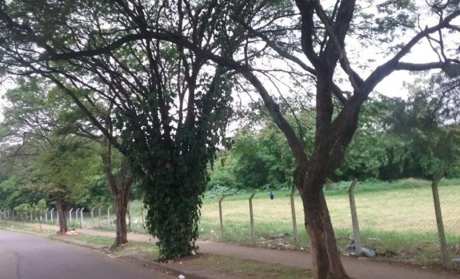 Lote 24