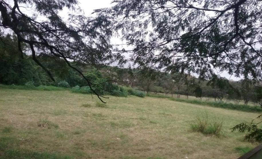Lote 24