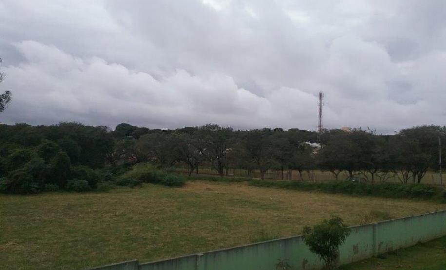Lote 24