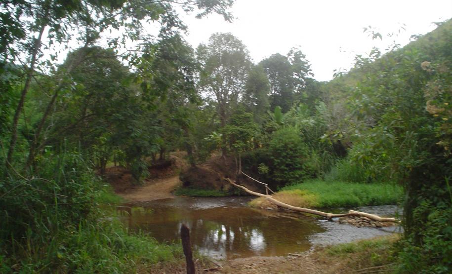 Acesso a comunidade Negra de Tatupeva