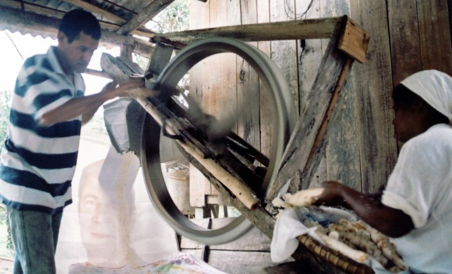 Ralando a mandioca para farinha