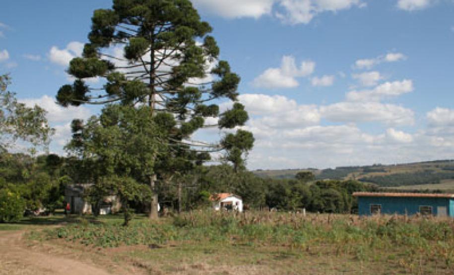 Foto da Comunidade de Feixo e Restinga