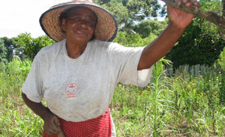 Foto da Comunidade de Feixo e Restinga
