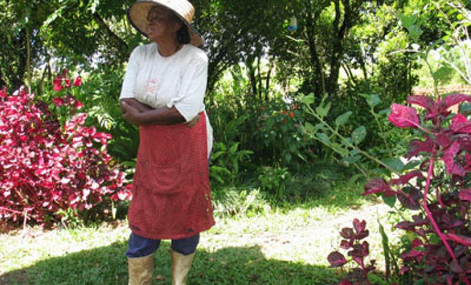 Foto da Comunidade de Feixo e Restinga