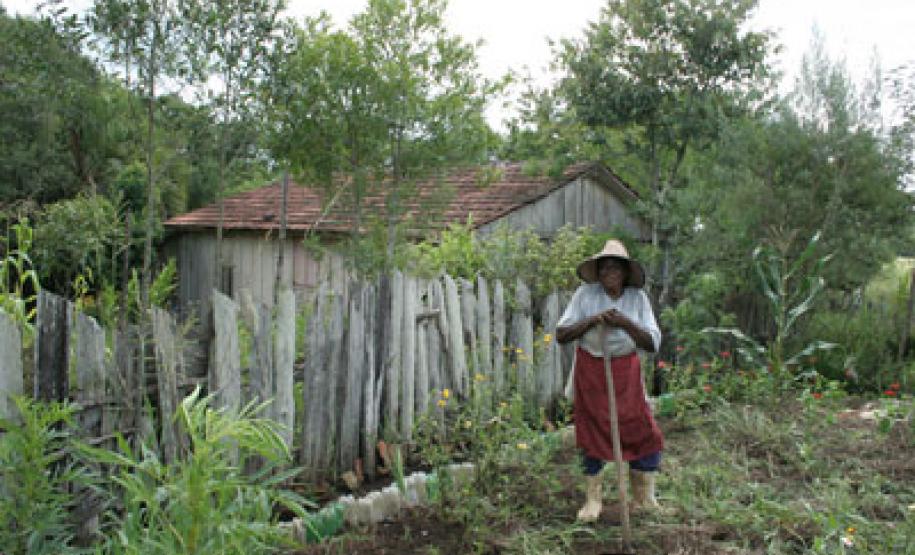 Foto da Comunidade de Feixo e Restinga