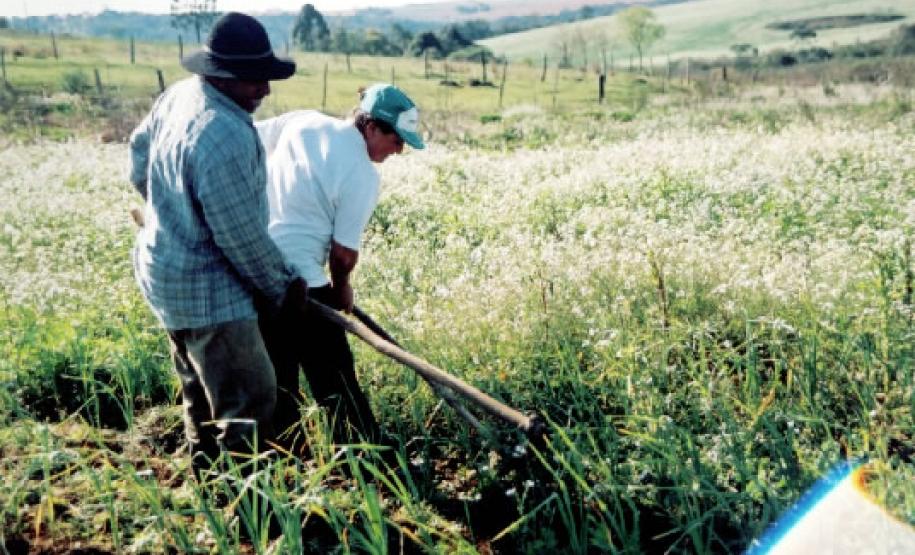 Sr. Joõa e sua esposa Zelia.Foto: F. CastroData: 2007