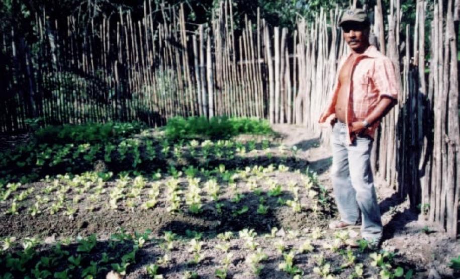 Senhor Adir - horta da comunidade