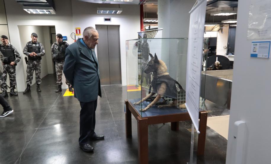 Cão Policial "Boster" especime empalhado, em vida era especialista no faro de explosivos.