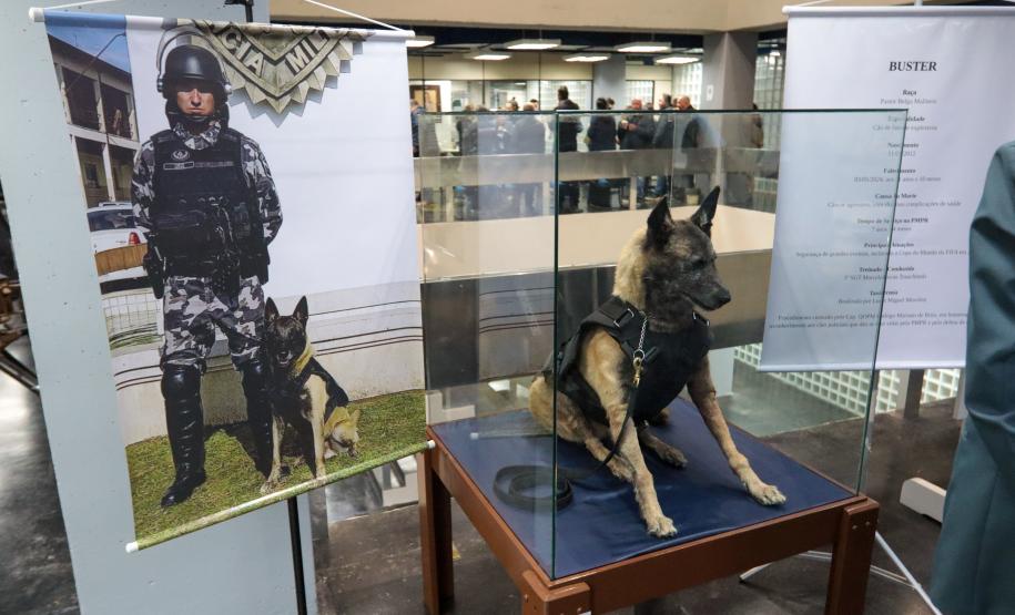 Cão Policial "Boster" espécime empalhado, em vida era especialista no faro de explosivos.