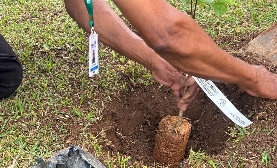 Aniversário Curitiba DEAP