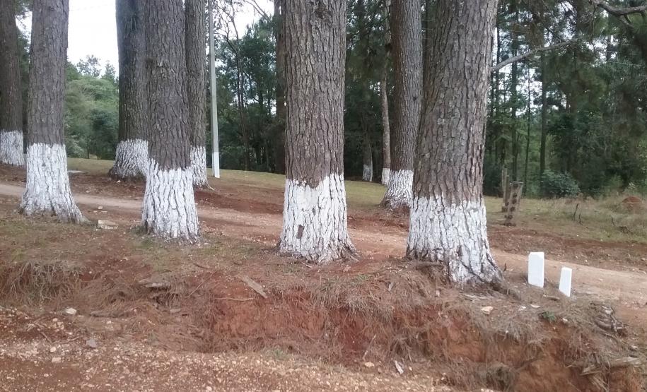 Estado põe à venda 11 imóveis sem uso Lote 2 - Araucária - PR: imóvel rural com área de 1.210,00m², sem benfeitorias, situado na Estrada Carroçável, S/N, Rio Verde Abaixo.