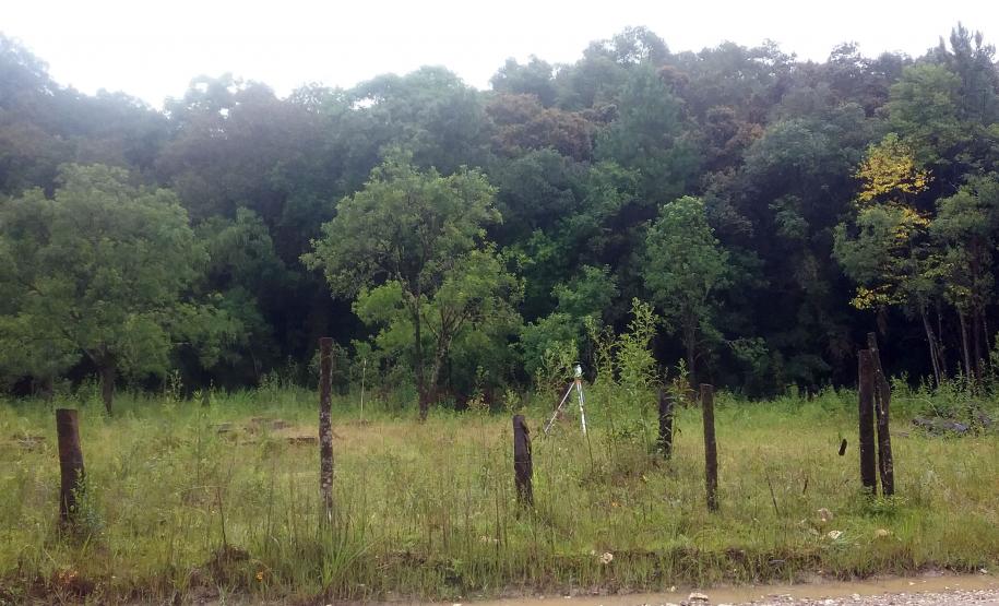 Estado põe à venda 11 imóveis sem uso Lote 3 - Bocaiúva do Sul - PR: imóvel rural com área de 3.000,00m², sem benfeitorias, situado na Estrada sem Denominação, S/N, estrada velha de Bocaiúva do Sul.
