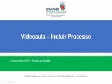 Inclusão de Processo 