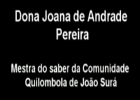 Dona Joana de Andrade Pereira