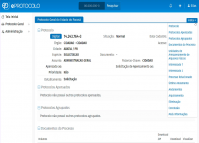 Consulta protocolo - ver processo